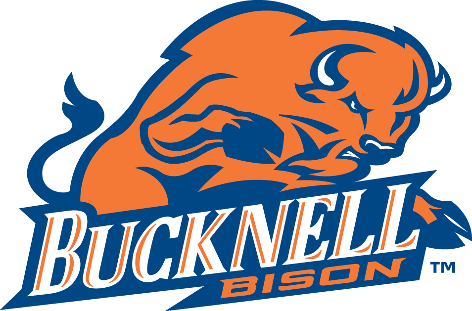 Bucknell Bison 2002-Pres Primary Logo iron on paper